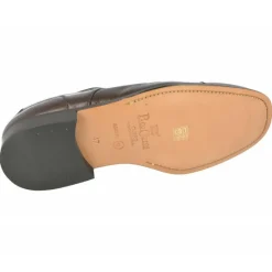 Paco Cantos Cordones|Cordon De En Piel, Puntera Recta, Ancho Especial 12, Piso Cuero.